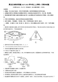 2025-2026学年黑龙江省智研联盟高二上学期1月期末生物试卷（学生版）