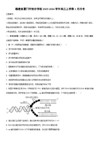 2025-2026学年福建省厦门市部分学校高三上学期1月月考生物试卷（学生版）