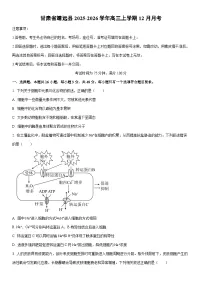 2025-2026学年甘肃省靖远县高三上学期12月月考生物试卷（学生版）