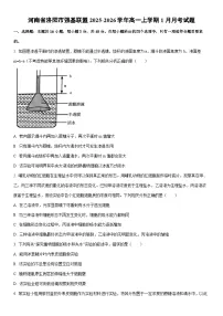 2025-2026学年河南省洛阳市强基联盟高一上学期1月月考生物试卷（学生版）