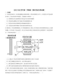2025-2026学年内蒙古自治区鄂尔多斯市第一中学高一上学期期末考试生物学试卷（含答案）