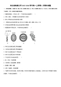 2025-2026学年河北省张家口市高一上学期1月期末生物试卷（学生版）