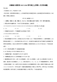 2025-2026学年安徽省六校联考高三上学期1月月考生物试卷（学生版）