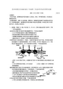2026届贵州省遵义市高三年级上第二次适应性考试生物学试题（含答案）