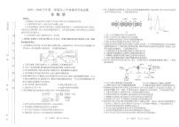 山西省太原市2025-2026学年高三年级上学期期末学业诊断生物试卷（含答案）