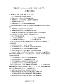 宁夏回族自治区石嘴山市第一中学2025-2026学年高一上学期1月月考生物试卷（含答案）