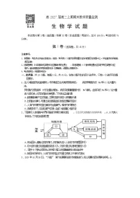 四川省遂宁市2025—2026学年高二上学期期末考试生物试题（含答案）