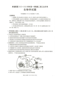 河北省邢台市卓越联盟2025-2026学年高二上学期1月月考生物试题（图片版附解析）