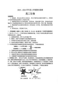 2025-2026学年河南省三门峡市度上学期期末检测高二生物学试题（含答案）