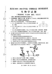 2025-2026学年福建龙岩市高一上学期期末教学质量检查生物学试题（含答案）