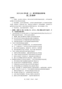 四川省攀枝花市2025-2026学年度高二上学期教学质量监测样卷生物试卷（含答案）
