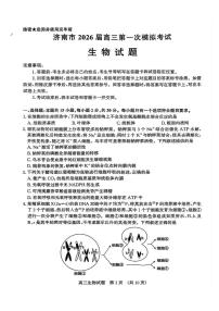 山东省济南市2025-2026年高三上学期第一次模拟考试生物试卷（含答案）
