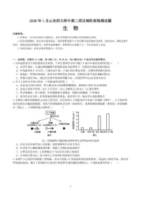 2025-2026学年山东省济南市山东师范大学附属中学高二上学期1月阶段测试生物试题_(含答案_)