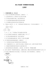 2025-2026学年贵州黔西南州顶兴高级中学高二年级第一学期期末考试生物学试题（含答案）