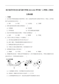 2025-2026学年四川省泸州市合江县马街中学校高一上学期1月期末生物试卷（含答案）