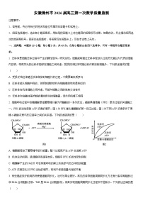 2026届安徽滁州市高三上期末第一次教学质量监测生物试卷（学生版）