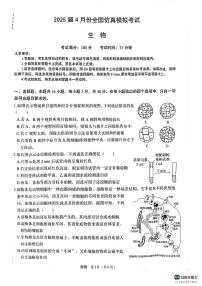 2025届4月份高三下学期全国仿真模拟考试生物试卷（含答案）