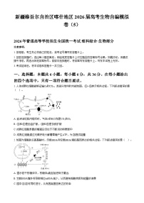 新疆维吾尔自治区喀什地区2026届高考生物自编模拟卷（5）附答案解析