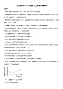 2026届山东省潍坊市高三上学期一模考试生物试卷（学生版）
