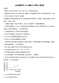 2026届山东省潍坊市高三上学期一模考试生物试卷（学生版）