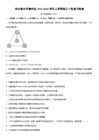 2025-2026学年河北衡水市冀州区上学期高三上一轮复习检测生物试卷（学生版）