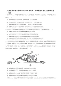 2025-2026学年云南省曲靖市宣威市第一中学高二上学期期末考试生物试卷（含答案）