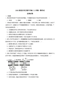 重庆市巴蜀中学2026届高三上学期一模考试生物试卷（Word版附答案）