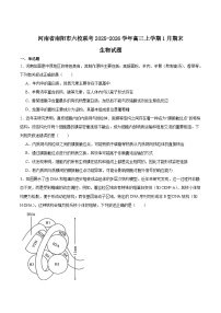 河南省南阳市六校2026届高三上学期期末考试生物试卷（Word版附答案）