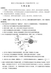 重庆市第八中学2026届高三上学期1月高考适应性月考卷五（一诊）生物试卷（含答案）