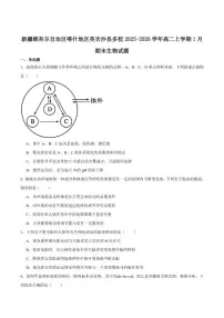 2025-2026学年新疆维吾尔自治区喀什地区英吉沙县多校高二上学期期末考试生物试卷（含答案）