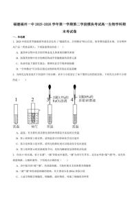 2025-2026学年福建省福州第一中学高一上学期第二学段模块考试（期末）生物试卷（含答案）