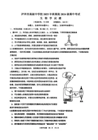 2025-2026学年四川省泸州市高级中学校高二上学期期中考试生物学试题（含答案）
