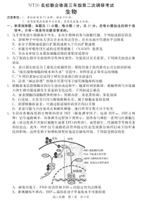 2025年4月NT20名校联合体高三年级下学期第二次调研考试生物试卷（含答案）