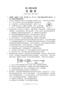 四川省蓉城名校联盟2027届高二上学期期末考试生物试卷（附参考答案）