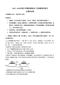 河南省部分学校2025_2026学年高三上学期第四次联考生物学试卷（PDF版，含答案）