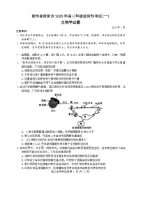 贵州省贵阳市2026届高三下学期2月一模生物试题（Word版附答案）