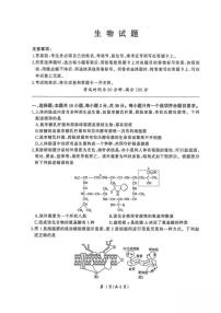 2025-2026学年山东省济南市名校联考高一上学期1月阶段性检测生物试卷（含解析）