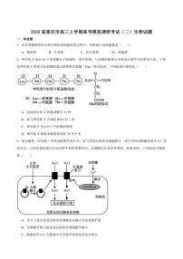 2026届重庆市高三上学期12月高考模拟调研考试（二）生物试卷（含答案）