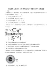 2026届河北省邢台市高三上学期第三次月考生物试卷（含答案）