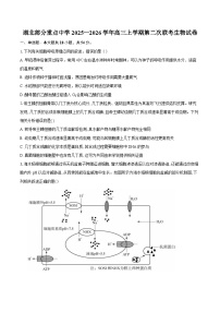 湖北部分重点中学2025—2026学年高三上学期第二次联考生物试卷