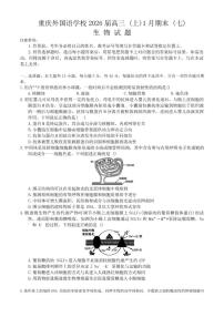 2025-2026年重庆市外国语学校高三上1月月考生物学试卷（含解析）