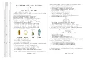 2025-2026学年新疆维吾尔自治区喀什市高一上学期期末考试生物试题（含解析）