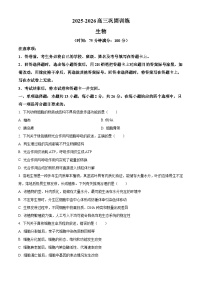 河北沧州市2025-2026学年高三上学期2月期末生物试题（试卷+解析）