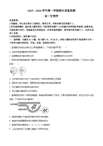 河南许昌市2025一2026学年第一学期期末质量检测高一生物学（试卷+解析）