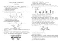 襄阳四中2026届高三下学期3月质量检测生物试题+答案