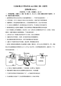 江西省重点中学协作体2025-2026学年下学期高三开学考生物试卷（含答案）