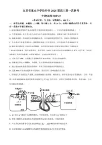 生物-江西省重点中学协作体2026届高三第一次联考试卷及答案