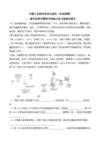专题8 生物的变异与进化（非选择题）——高考生物学模块分练【新高考版】（含解析）