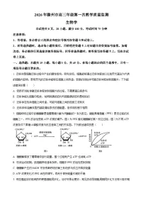 安徽省滁州市2026届高三上学期一模生物试卷（Word版附解析）