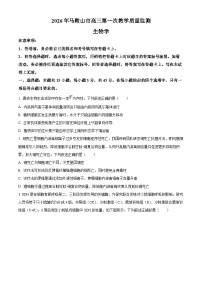 安徽省马鞍山市2026届高三上学期一模生物试卷（Word版附解析）
